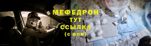 прущие грибы Богданович